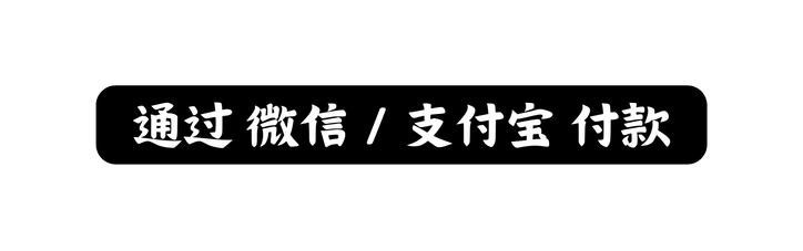 通过 微信 支付宝 付款